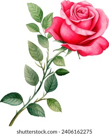 Hand painted watercolor pink rose flower