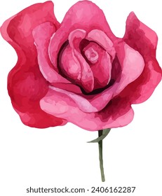 Hand painted watercolor pink rose flower