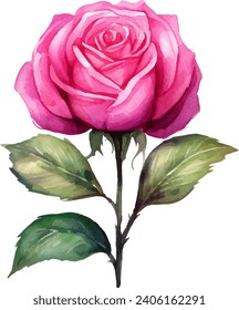 Hand painted watercolor pink rose flower