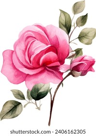 Hand painted watercolor pink rose flower