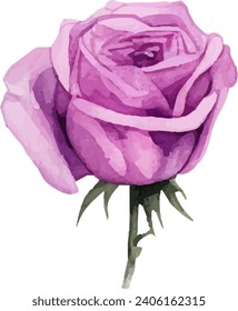 Hand painted watercolor pink rose flower