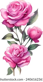 Hand painted watercolor pink rose flower