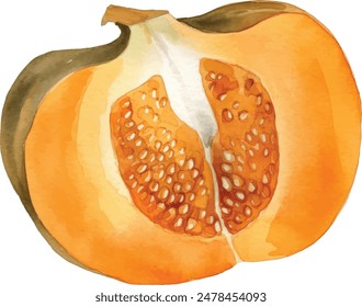 Hand painted watercolor pumpkin pieces isolated on white background