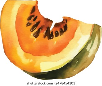 Hand painted watercolor pumpkin pieces isolated on white background
