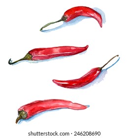 Hand painted watercolor red chili peppers. Vector food illustration.