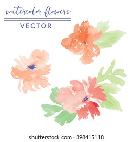 Hand Painted Watercolor Vector Flowers