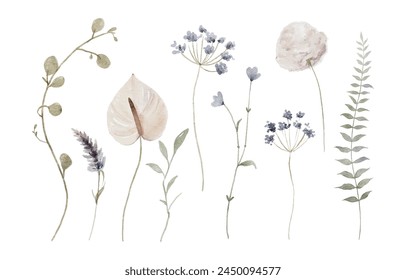 Handgemalte Aquarell Wildblumen, Wiesen Blumen Elemente isoliert auf weißem Hintergrund	