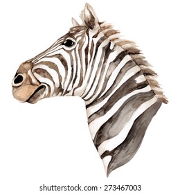  Hand Painted Watercolor Zebra Head. Vector Illustration.