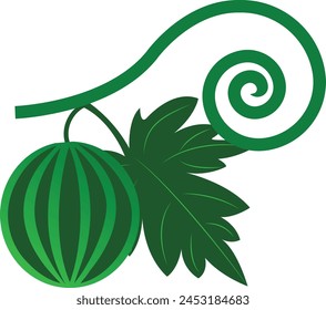 Hand Painted Watermelon PNG images. Whole watermelon drawing cartoon look down angel. Lovely food material images PNG free download. Watermelon Green leaf a decoration.