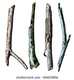 Hand painted wood twig set, ink rustic design elements collection. Dry wood tree branch and wooden twig bundle. Detailed and precise watercolor imitation driftwood twigs set. Vector.
