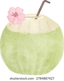 hand painted young coconut summer refreshing water flower decoration tropical fruit illustration