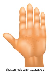 Hand Palm