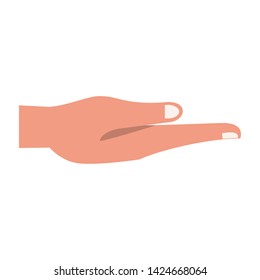 Hand with palm open cartoon isolated vector illustration graphic design