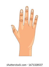Hand with palm open stop isolated vector illustration graphic design