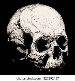 Hand panache of a human skull on a beige background.