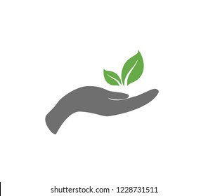 Hand with pant. Plant growing icon. Vector hand with growing plant. Perspective icon.   Environment care design.  Eco friendly 