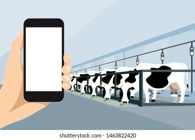 Hand With Phone A Background Of Modern Dairy Farm With Automatic Milking. Blanc Screen. Vector Illustration