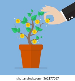 Hand pick a coin from money plant. Business concept