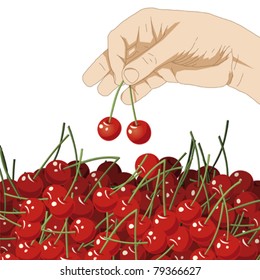 Hand picking cherries, vector illustration
