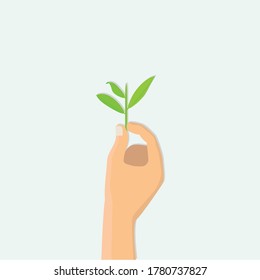 hand picking tea buds, flat design vector illustrations