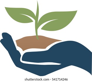 Hand with a plant