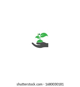 Hand with plant icon. Pharmacy vector illustration