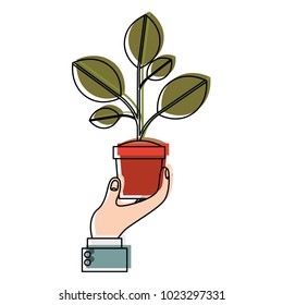 hand with plant in pot isolated icon