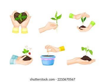 Hand Planting and Cultivating Young Sapling or Seedling Growing in Soil Vector Set