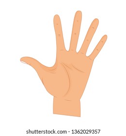 Hand in pose. Male or female hand in cartoon style