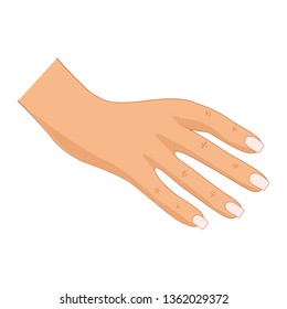 Hand in pose. Male or female hand in cartoon style