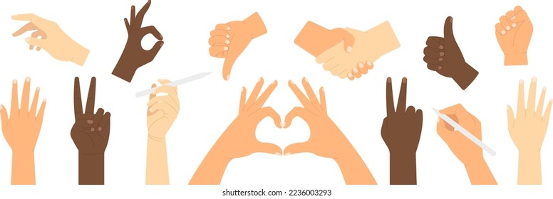 Hand positions and gestures. Pointing, holding, flat hand, fist, peace and thumb up. Human palms vector set. Communication