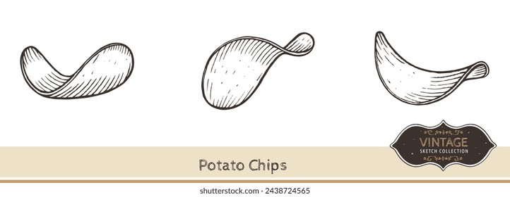 Hand potato chips isolated on white background. Vector Illustration. 