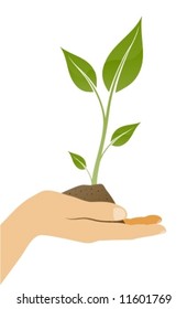 Hand protecting a growing plant.