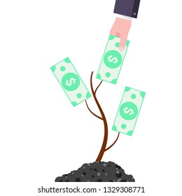 Hand pull over money dollar from money tree flat style design vector illustration isolated on white background. Man hold banknote dollar and money tree with coins growth on the ground.