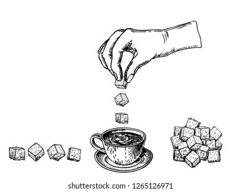 Hand Puts Sugar Cubes In Coffee Or Tea. Sketch. Hand Puts A Sugar Cube In The Coffee Cup