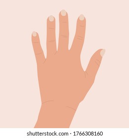 Hand raised up. Female hand with open palm. Concept of positive greeting, meeting, volunteering, voting, non verbal communication. Vector flat illustration of an isolated arm. Number five