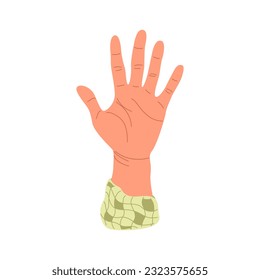 Hand raised up. Spread fingers, inside of palm. Human arms with accessories. Colored flat vector illustration isolated on white background