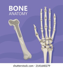 hand realistic human bone poster