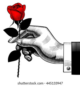 Hand with a red rose. Retro style valentine greeting card design. Vintage engraving stylized drawing. Vector illustration