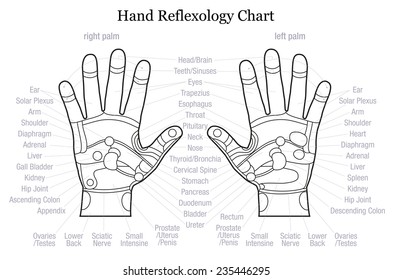 Palm Reflexology Chart