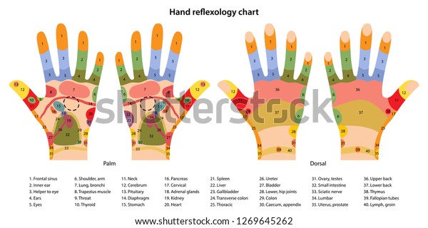 Great Reflexology Chart For Hand Points
