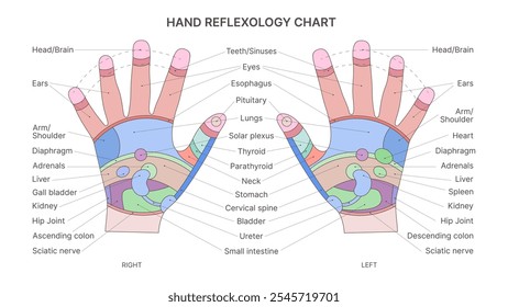 Gráfico de Reflexologia da Mão para Saúde e Bem-Estar Holísticos