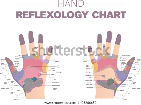 Hand Reflexology Chart Pressure Points Stock Vector (Royalty Free