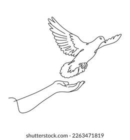 Hand releasing a white dove line art drawing vector illustration.