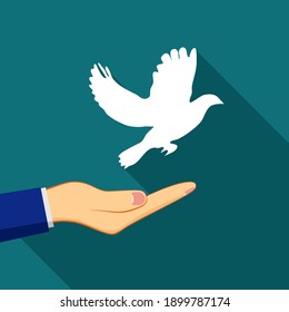 hand releasing white pigeon bird freedom wings flying