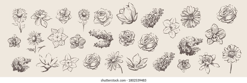 Gran juego de flores