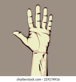 Hand showing five count. Vector illustration. Hand collection.