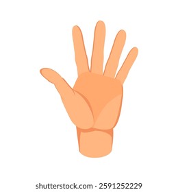 Hand showing five fingers. Flat vector illustration of spread fingers, high five, open hand, hallo