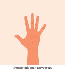 Hand showing five fingers and palm vector illustration. Woman or man hand isolated white background. inside of the hand flat modern  design