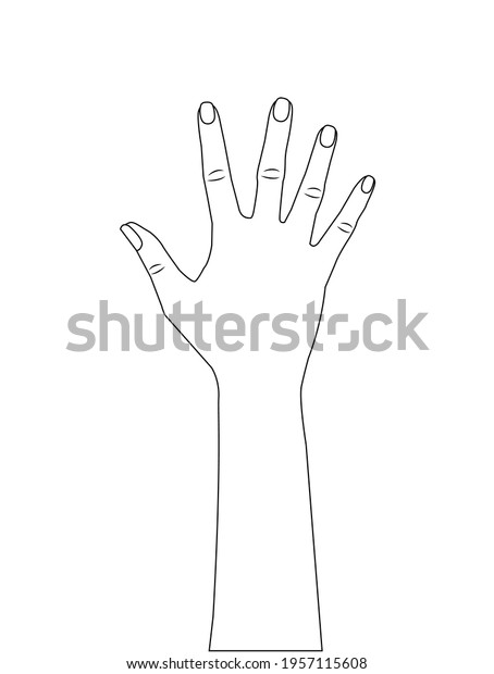 Hand Showing Five Fingers Palm Outline Stock Vector (Royalty Free ...